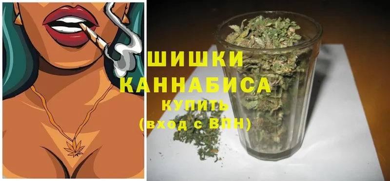 МАРИХУАНА SATIVA & INDICA  закладка  Новосиль 